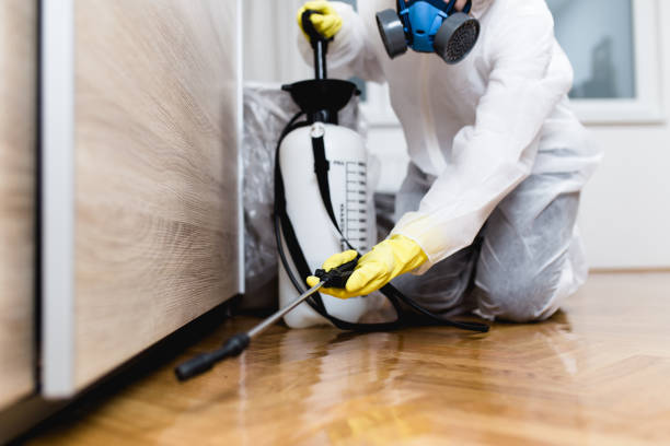 Best Best Pest Control Companies  in Westfield Center, OH