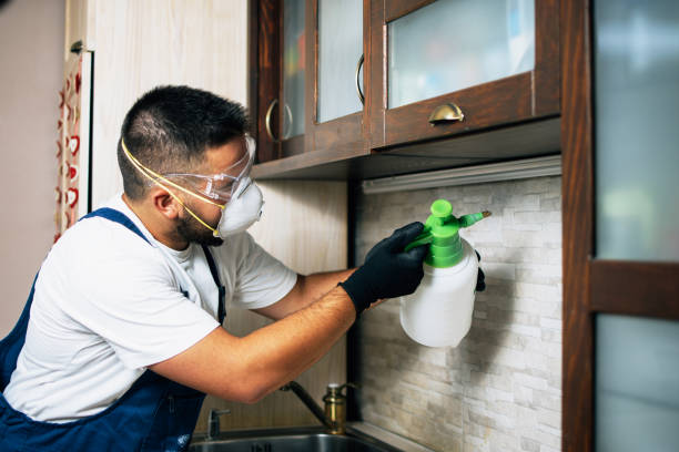 Best Pest Prevention Services  in Westfield Center, OH