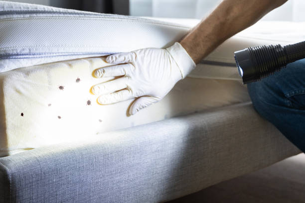 Best Affordable Pest Control Services  in Westfield Center, OH