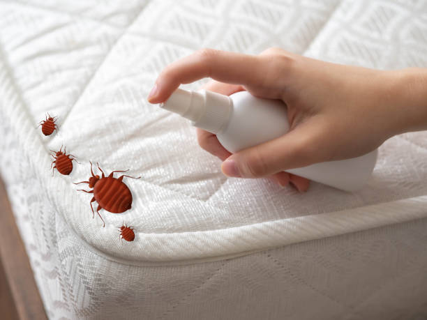 Best Termite Control Services  in Westfield Center, OH