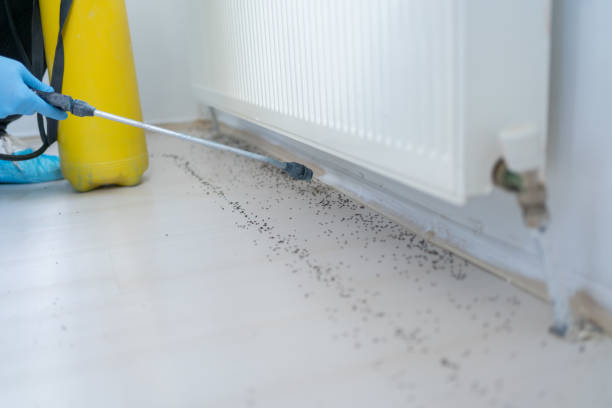 Reliable Westfield Center, OH Pest Control Solutions
