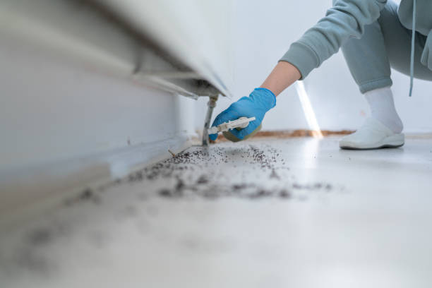 Best Exterminator Services  in Westfield Center, OH